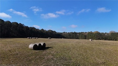 Welcome to this gorgeous open 18 acres surrounded by the - photo 10