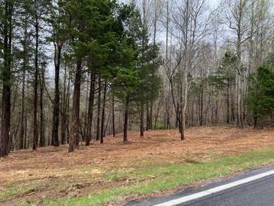 Single family lot just minutes to Willow Grove Marina and 2 - photo 2