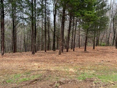 Single family lot just minutes to Willow Grove Marina and 2 - photo 3