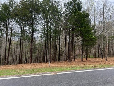 Single family lot just minutes to Willow Grove Marina and 2 - photo 4