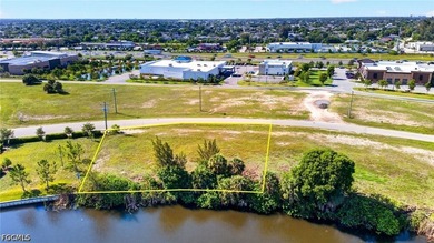 **Fantastic Opportunity!** This prime commercial parcel is - photo 12
