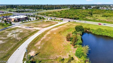 **Fantastic Opportunity!** This prime commercial parcel is - photo 13