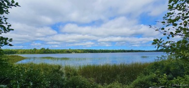 Mud Lake - Houghton County Lot For Sale in Lake Linden Michigan