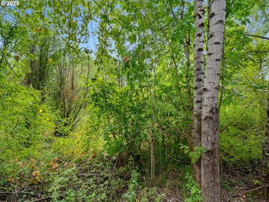 This elegant, original model home at the Crossings at Tansbourne