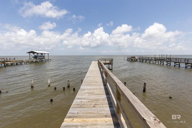 Rare opportunity for 100 ft directly on Mobile Bay - includes a - photo 39