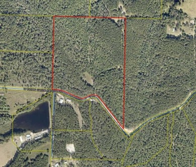 Lake Acreage For Sale in Defuniak Springs, Florida