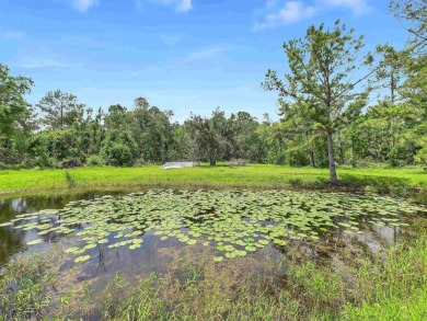 Lake Acreage For Sale in Perry, Florida