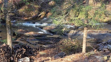 (private lake, pond, coastal) Lot For Sale in Marble Hill Georgia