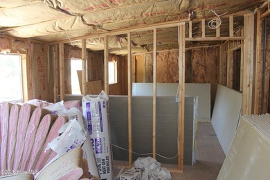 Unique Opportunity: Move in Shell with Finish Materials included - photo 4