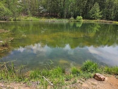 (private lake, pond, creek) Acreage For Sale in Mendota Virginia