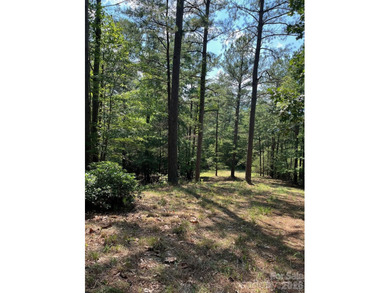 Welcome to Lot 46 Lake Adger Pkwy, a hidden gem nestled in the - photo 11