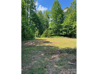 Welcome to Lot 46 Lake Adger Pkwy, a hidden gem nestled in the - photo 12