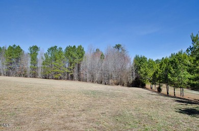 46-acre tract in the gated Peninsula at Kerr Lake community - photo 15