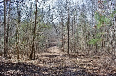 46-acre tract in the gated Peninsula at Kerr Lake community - photo 17