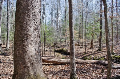 46-acre tract in the gated Peninsula at Kerr Lake community - photo 19