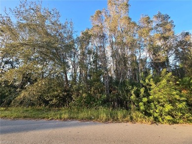 Lehigh Acres Area Lot For Sale in Lehigh Acres Florida