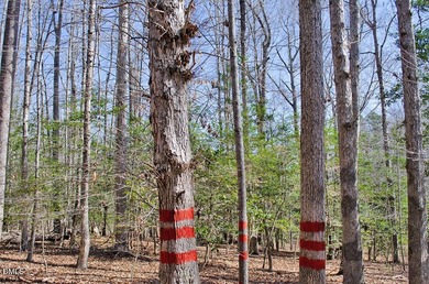 46-acre tract in the gated Peninsula at Kerr Lake community - photo 21