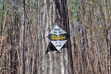 46-acre tract in the gated Peninsula at Kerr Lake community - photo 22