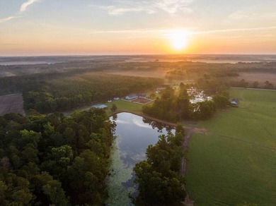 Amazing Grace is a turnkey luxury equestrian estate where every - photo 25