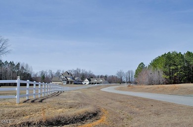 46-acre tract in the gated Peninsula at Kerr Lake community - photo 28