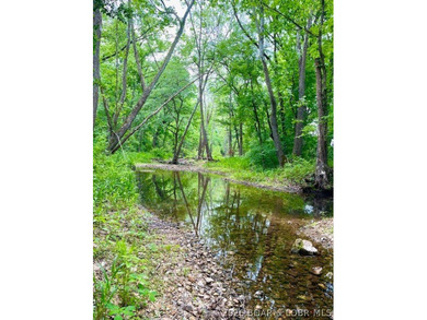 Hunters, and fisher paradise! 2,089' of gentle shoreline & 17.73 - photo 3
