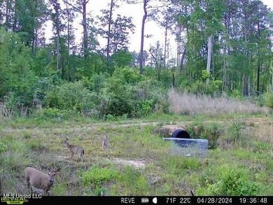 Located off Attala Road 3027 in Attala County, Mississippi, this - photo 11