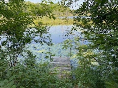 (private lake, pond, creek) Lot For Sale in Townsend Wisconsin