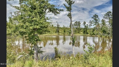 Located off Attala Road 3027 in Attala County, Mississippi, this - photo 12