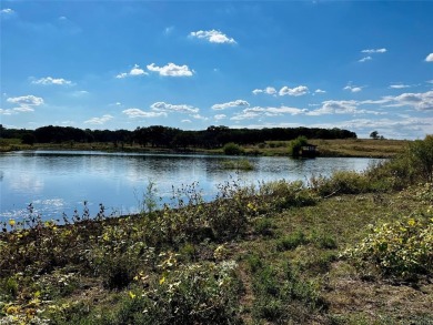 Lake Acreage For Sale in Jacksboro, Texas