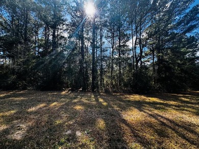 White Cypress Lake Acreage For Sale in Hancock Co Mississippi