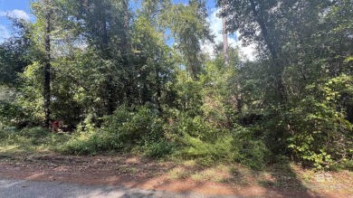 (private lake, pond, coastal) Lot For Sale in Foley Alabama
