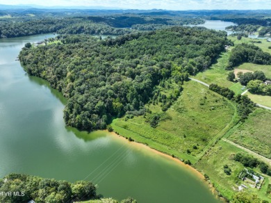 Lake Acreage For Sale in Piney Flats, Tennessee