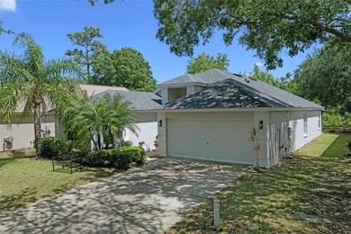 (private lake, pond, coastal) Home For Sale in Tampa Florida
