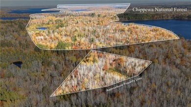 Johnson Lake - Itasca County Acreage For Sale in Deer River Minnesota