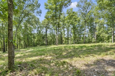 Lake Acreage For Sale in Galena, Missouri