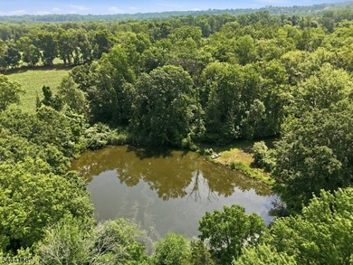 Welcome to a rare opportunity to own a piece of Warren County - photo 41