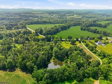 Welcome to a rare opportunity to own a piece of Warren County - photo 43