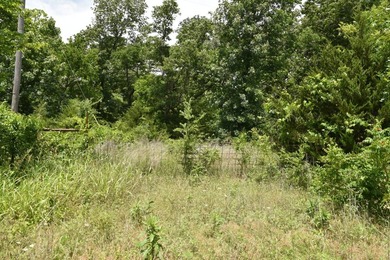 Discover the perfect blend of privacy, recreation, and future - photo 11