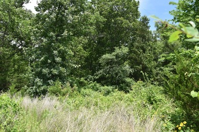Discover the perfect blend of privacy, recreation, and future - photo 12