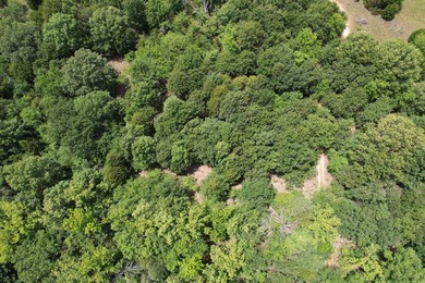 Discover the perfect blend of privacy, recreation, and future - photo 21