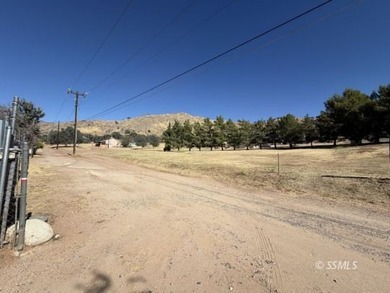 WOW, this is a compound! 2 homes with a private well, zoned C2 - photo 22
