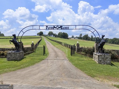 Welcome to a truly exceptional North Georgia mountain estate! - photo 3