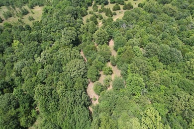 Discover the perfect blend of privacy, recreation, and future - photo 23