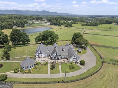 Welcome to a truly exceptional North Georgia mountain estate! - photo 4