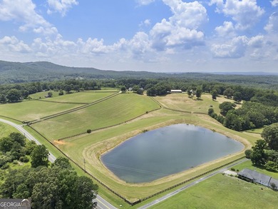 Welcome to a truly exceptional North Georgia mountain estate! - photo 5