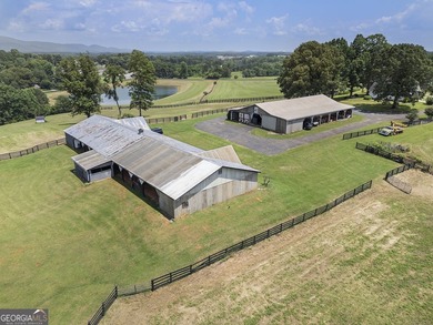 Welcome to a truly exceptional North Georgia mountain estate! - photo 6