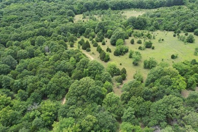 Discover the perfect blend of privacy, recreation, and future - photo 27