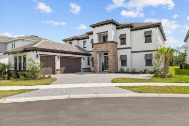 Lake Home Sale Pending in Wesley Chapel, Florida