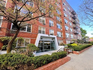 Spacious, Sun-Filled Alcove Studio in Prime Brooklyn Location - photo 2