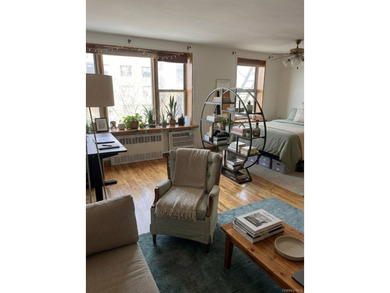 Spacious, Sun-Filled Alcove Studio in Prime Brooklyn Location - photo 6